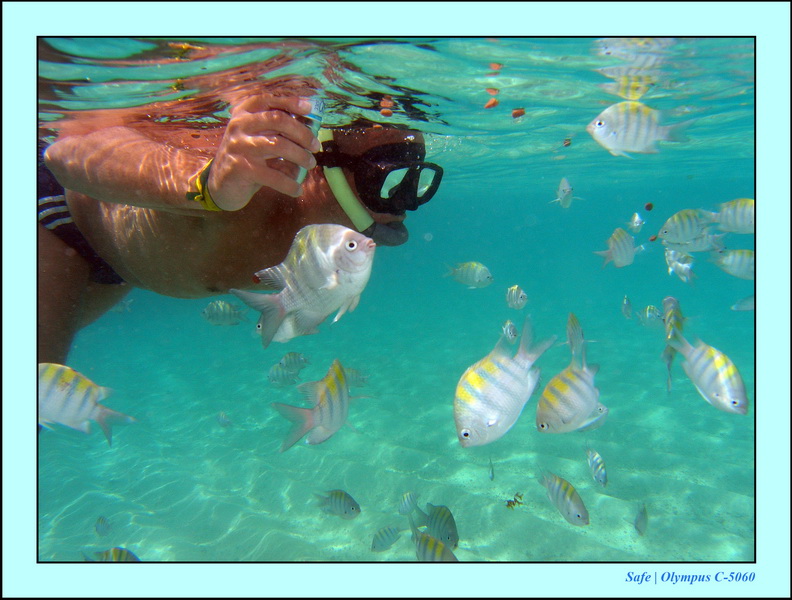 2005 - 11 - Maragogi - parc marin de gales 49.JPG